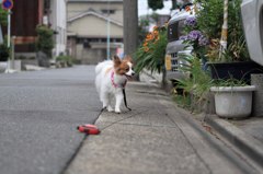 IMG_46731