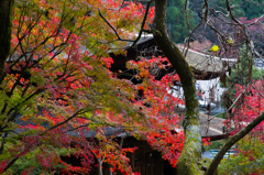 定光寺