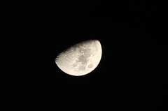 IMG_5717