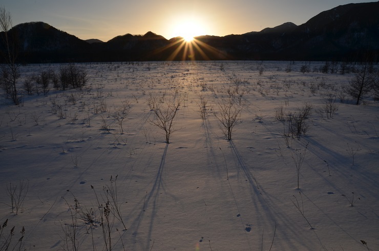 夕日に染められる雪原