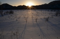 夕日に染められる雪原
