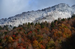 照葉峡