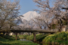 里の春