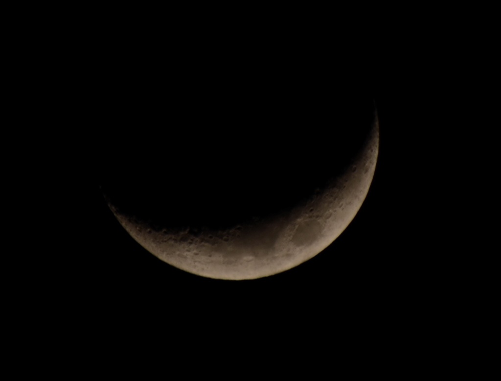 彗星は撮れなかったけど・・・。
