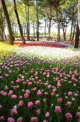 ひたち海浜公園