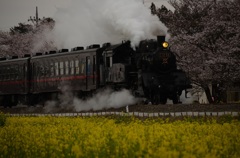 真岡鉄道