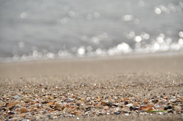 浜辺