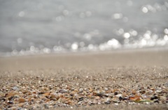 浜辺