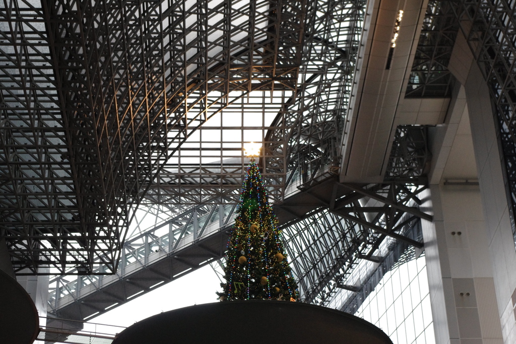 Xmasツリー　京都駅