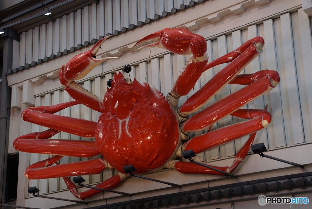 かに（道頓堀）