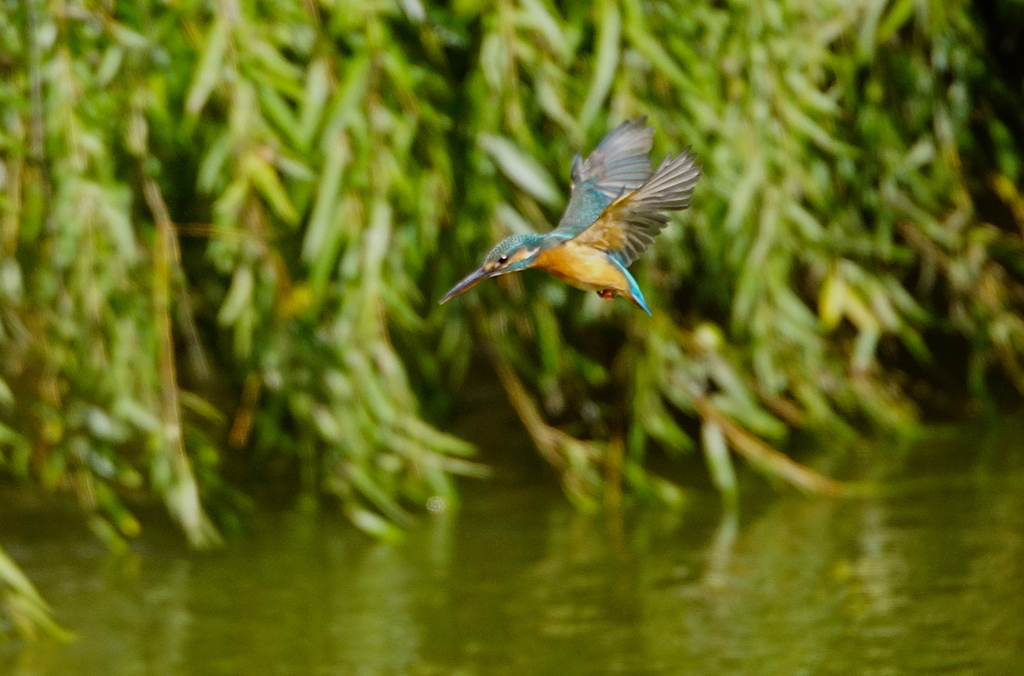さあ飛び込みへ