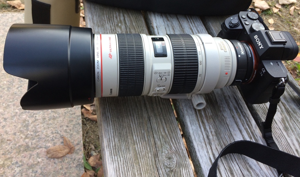 SONY α7II +  Canon EF70-200mm F2.8