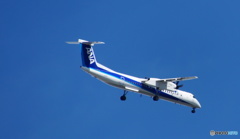 ボンバルディアANA