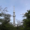 東京スカイツリー