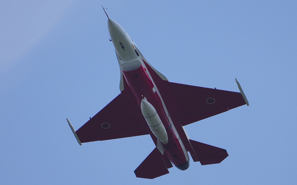 航空自衛隊岐阜基地　F-2B