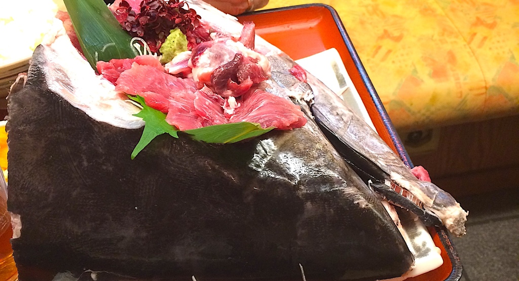 まぐろ眼肉ほほ肉お造り