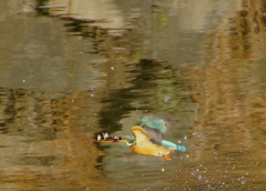 お魚二匹もくわえ