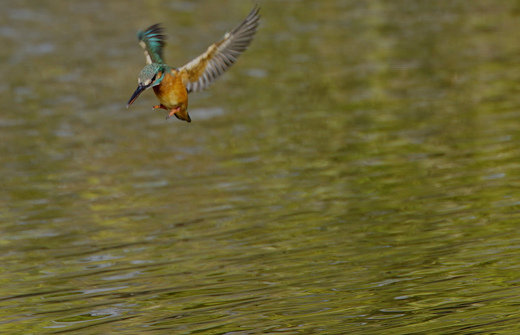 狙いを定める彼女