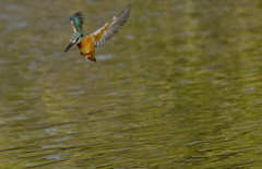 狙いを定める彼女