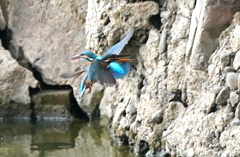 バロムクロスっていうかエックスな