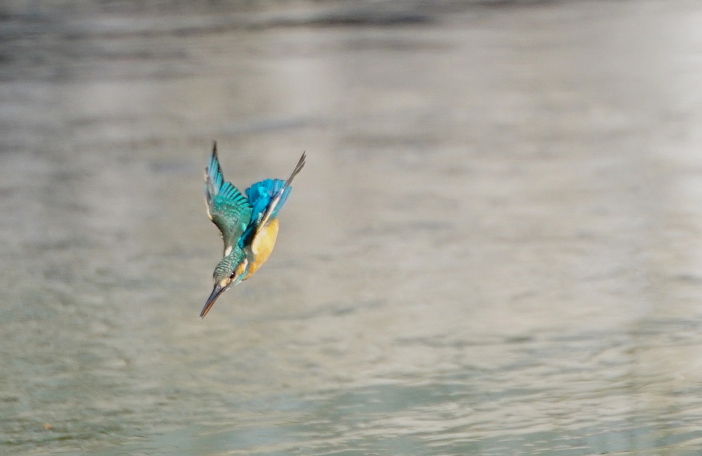 いざ飛び込みへ