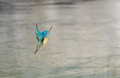 いざ飛び込みへ