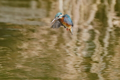 Hovering