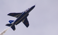 岐阜基地航空祭