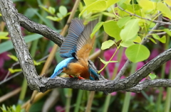 さあ飛び込みへ