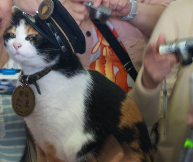 たま駅長