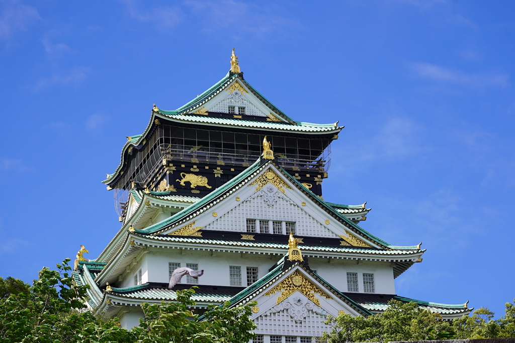 大阪城天守閣