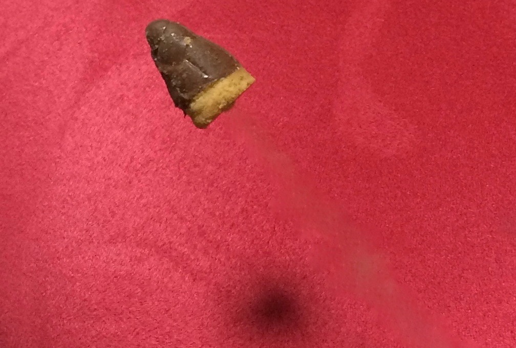 飛ぶたけのこの里