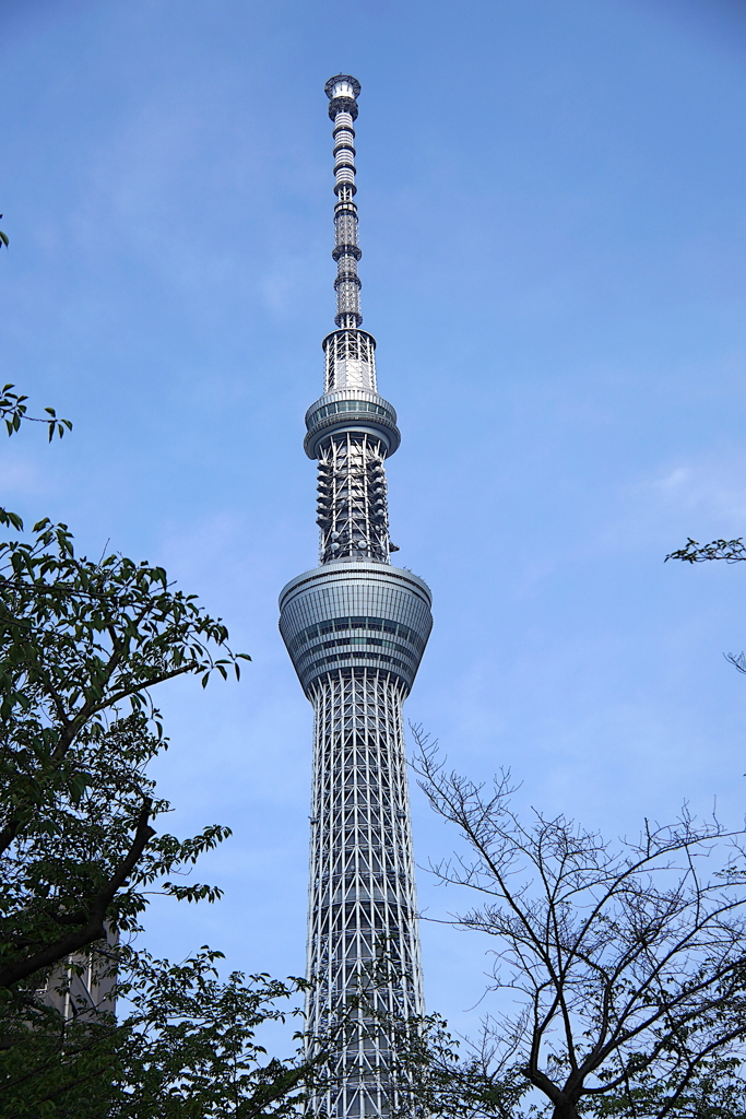 スカイツリー