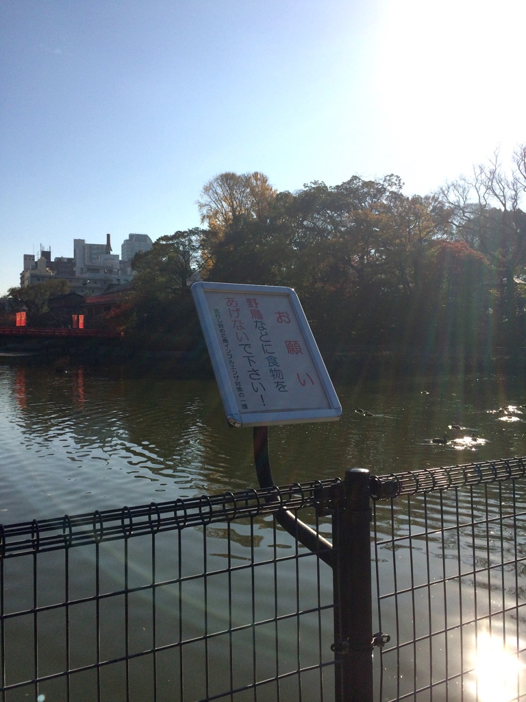 茶臼山（大阪）