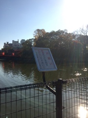 茶臼山（大阪）