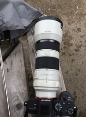 小雨な中の撮影