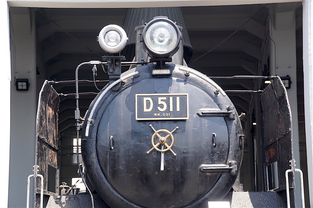 D５１