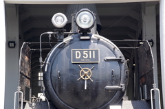 D５１