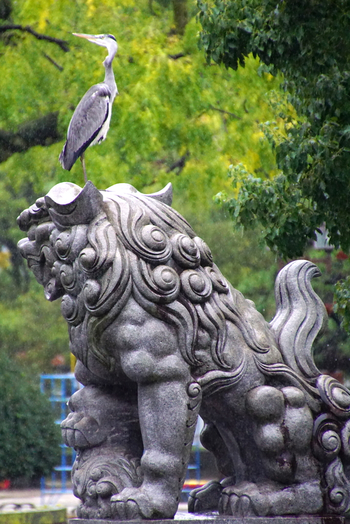 こまいぬとサギ