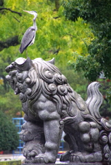 こまいぬとサギ