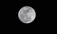 今年最後の満月なり