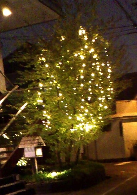 イルミ