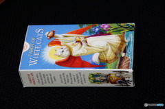 ホワイトキャット　タロット