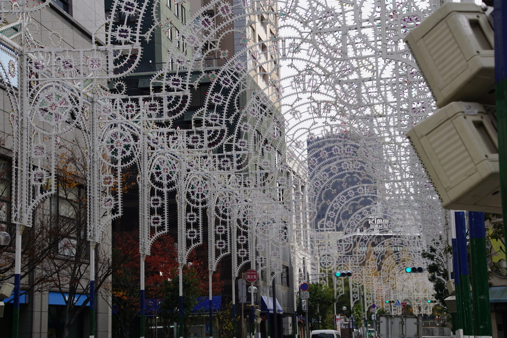 ルミナリエ神戸