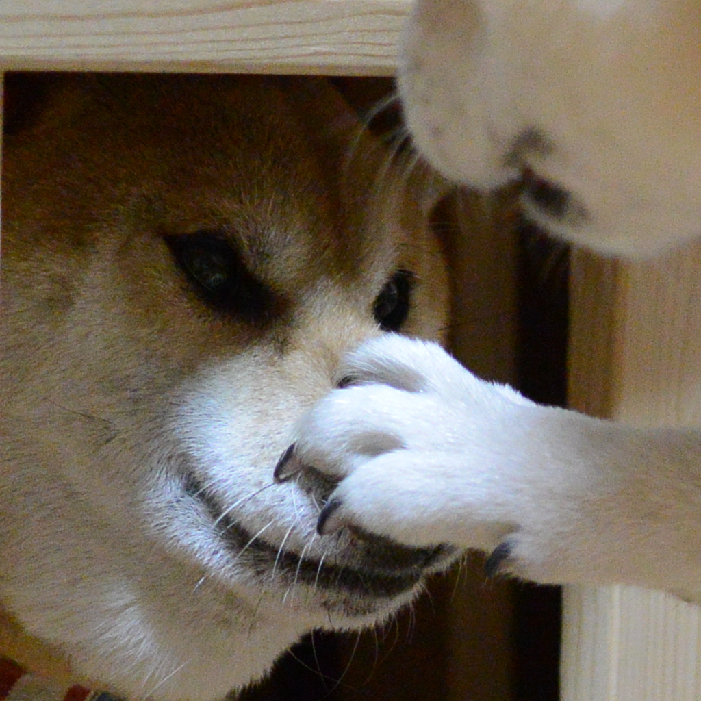 息苦しいんですけど・・・