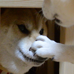 息苦しいんですけど・・・