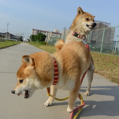 お仕置き