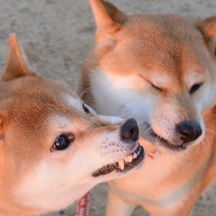 危ない危ない