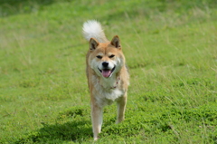 ランだぁ~