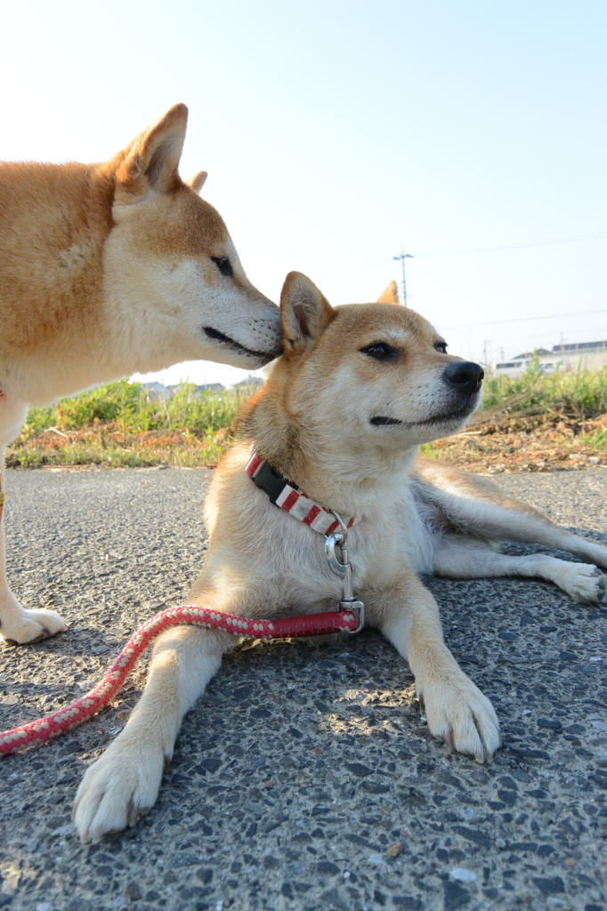 臭う・・・